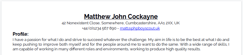 The old opening: my name, my contact details, and a warm but entirely unmeasurable “I have a passion for what I do” profile statement.